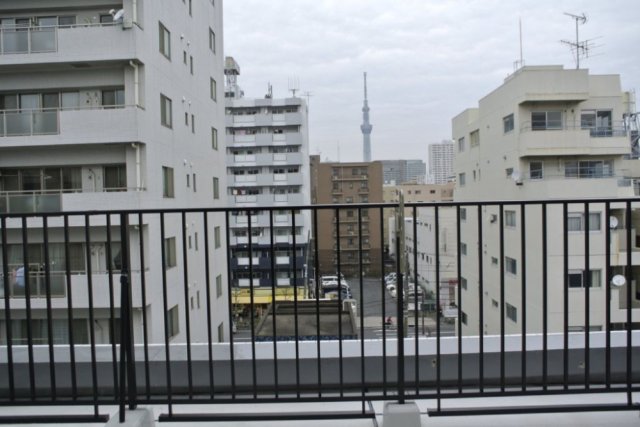 眺望　※別部屋からの展望です