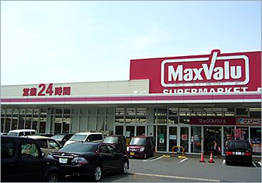 スーパー　マックスバリュ上の原店（スーパー）まで494m