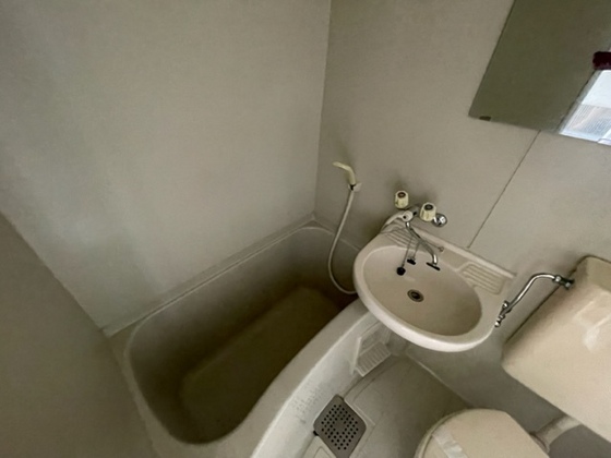 バス・シャワールーム　※別号室の写真です。