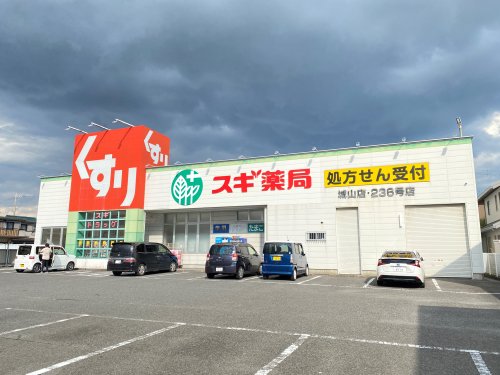 ドラックストア　スギ薬局 城山店（ドラッグストア）まで807m