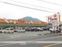 スーパー　マム羽鳥店（スーパー）まで1437m