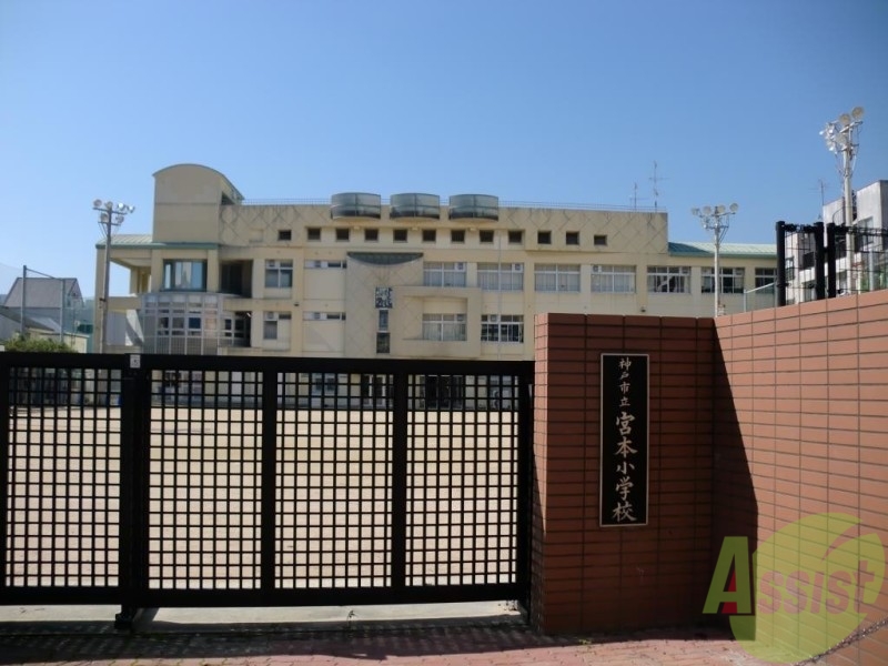 小学校　神戸市立宮本小学校（小学校）まで183m