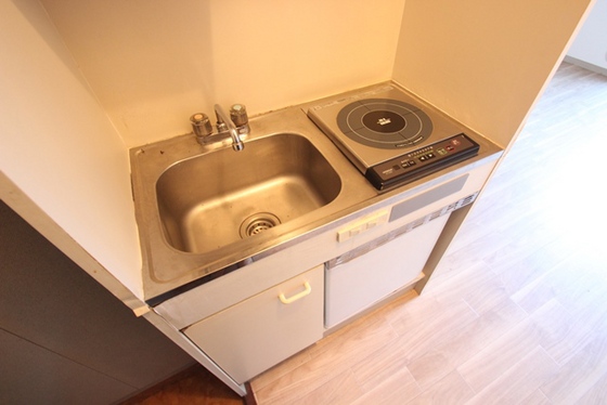 キッチン　※写真は別号室です