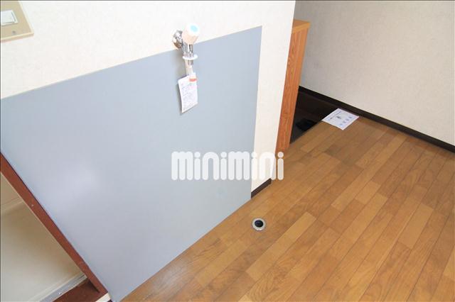 その他部屋・スペース　室内洗濯機置き場です