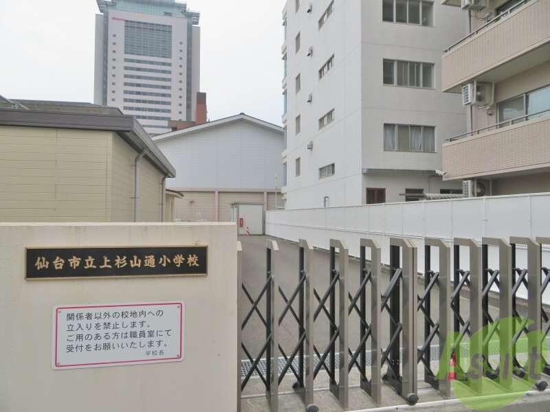 小学校　仙台市立上杉山通小学校（小学校）まで873m