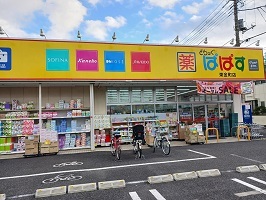 ドラックストア　どらっぐぱぱす（ドラッグストア）まで300m