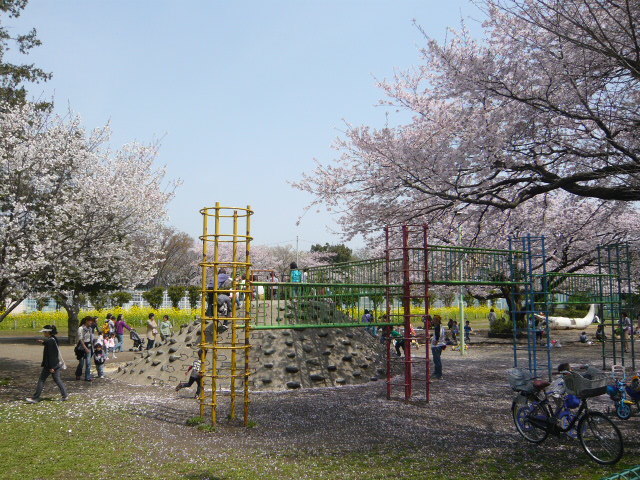 公園　稲田公園（公園）まで578m