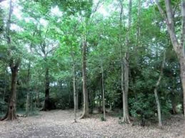 公園　佐璞丘公園（公園）まで2455m
