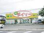その他　ザ・ダイソー西白井店（その他）まで246m