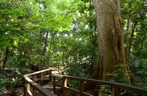 【文京区白山のアパートの公園】