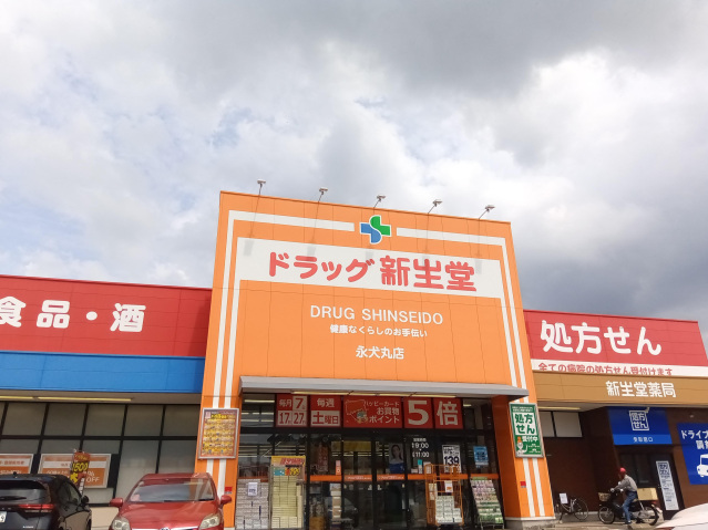 ドラックストア　ドラッグ新生堂永犬丸店（ドラッグストア）まで80m