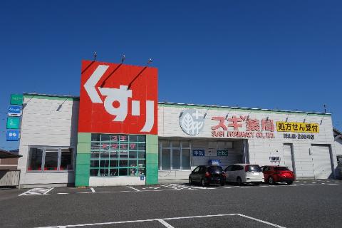その他　スギ薬局城山店（その他）まで1028m