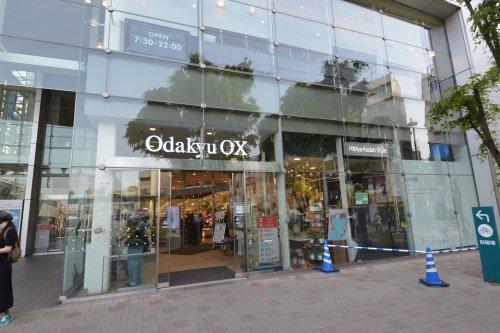 スーパー　Odakyu OX(小田急OX) 経堂コルティ店（スーパー）まで824m