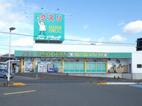 ドラックストア　ハシドラッグ 腰浜店（ドラッグストア）まで1200m