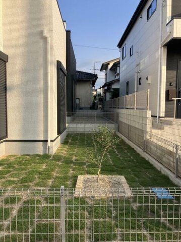 庭