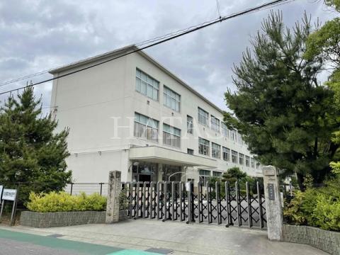 中学校　刈谷市立刈谷南中学校（中学校）まで605m