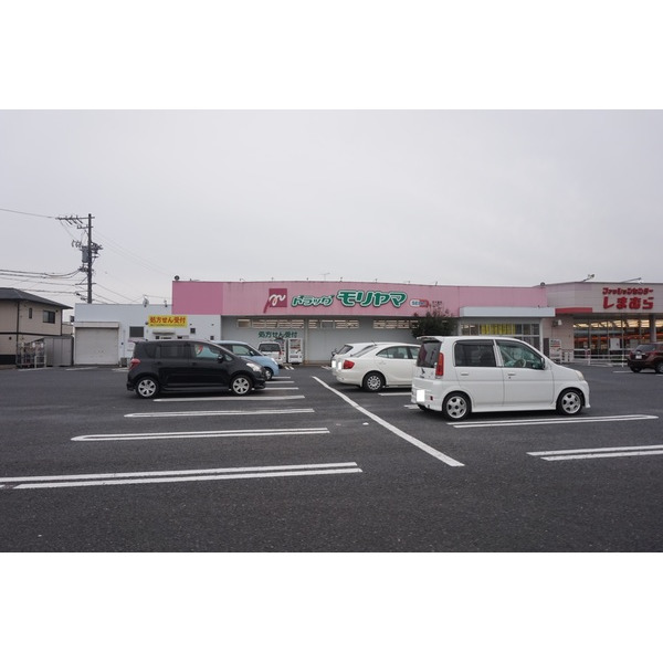 ドラックストア　ドラッグモリヤマ椋本店（ドラッグストア）まで1624m