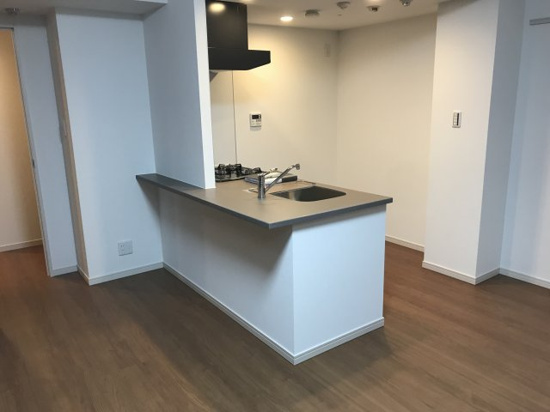 キッチン　2018年竣工　クレヴィスタ大森II：キッチン