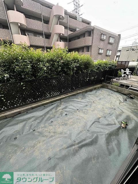庭