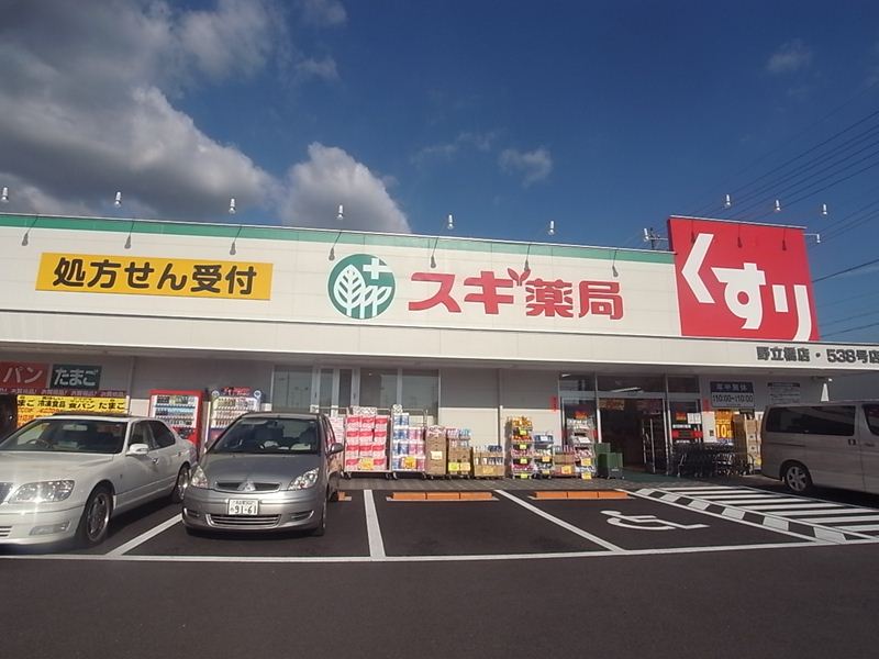 ドラックストア　スギ薬局 野立橋店（ドラッグストア）まで491m