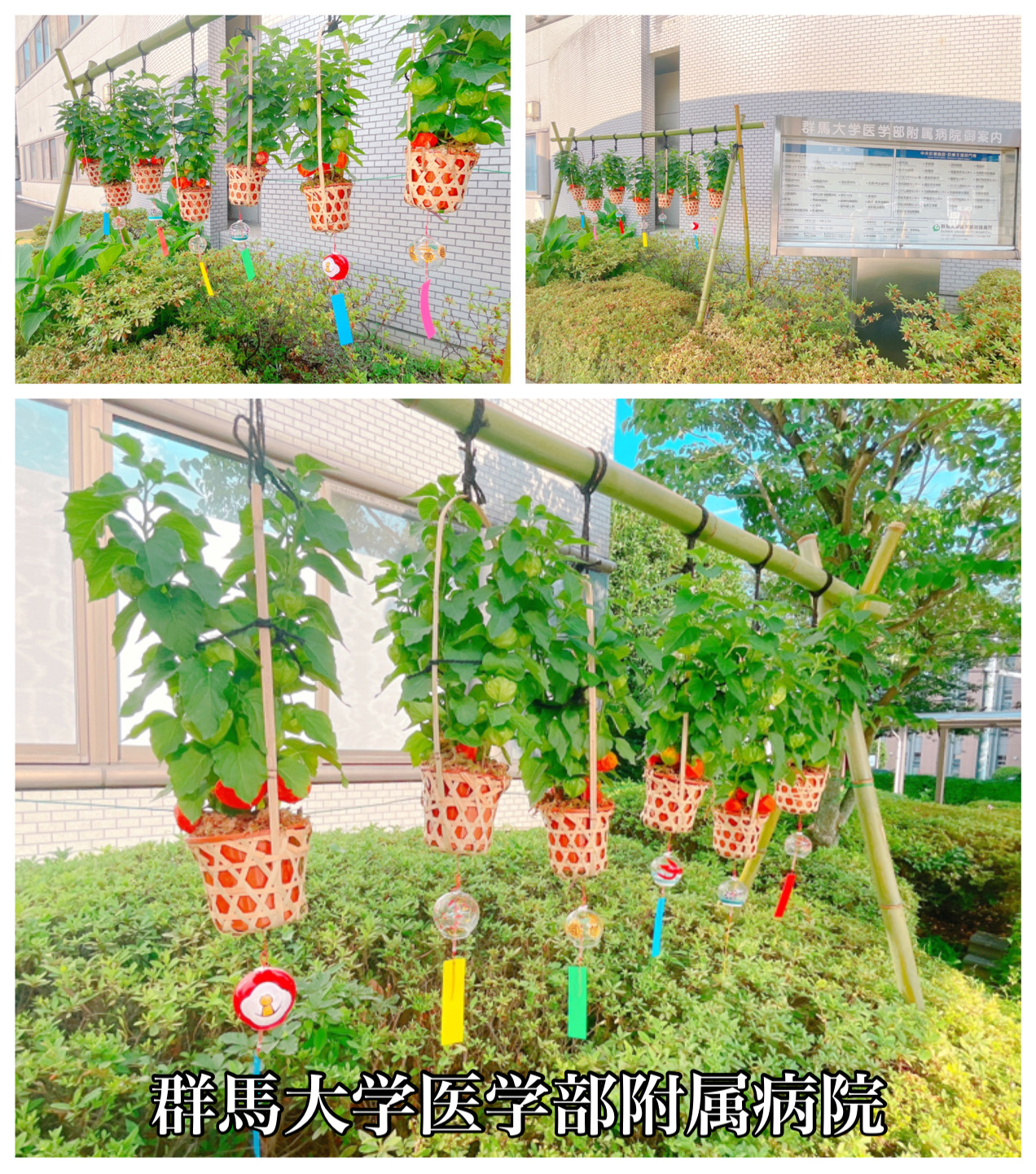 病院　群馬大学医学部附属病院（病院）まで1530m
