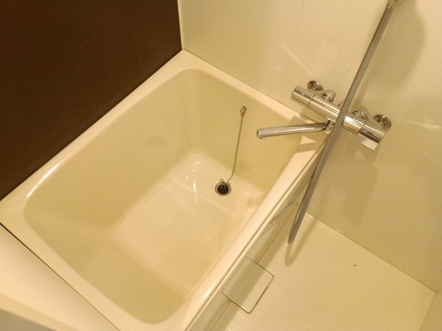 バス・シャワールーム　落ち着いた空間のお風呂です