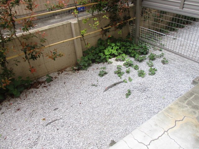 バルコニー　※別部屋