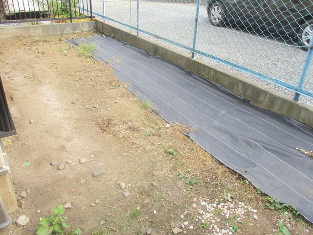 庭　専用庭