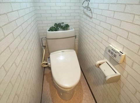 ＪＲ奈良線 桃山駅 徒歩4分 3階建 築43年のトイレ写真