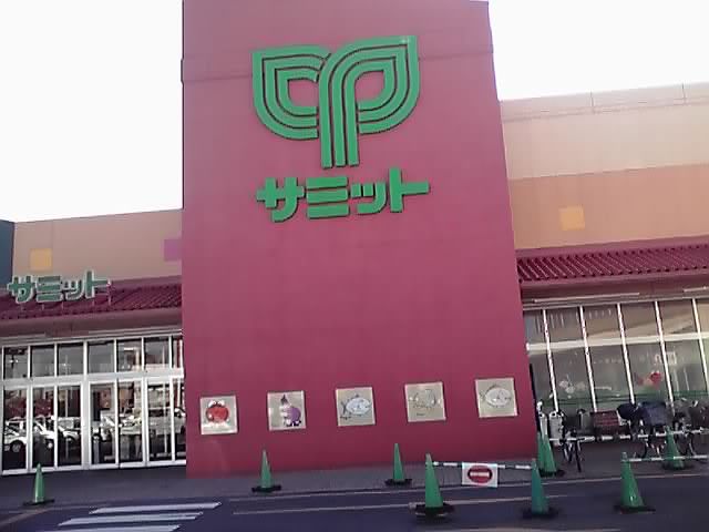 スーパー　サミットストア松戸新田店（スーパー）まで255m