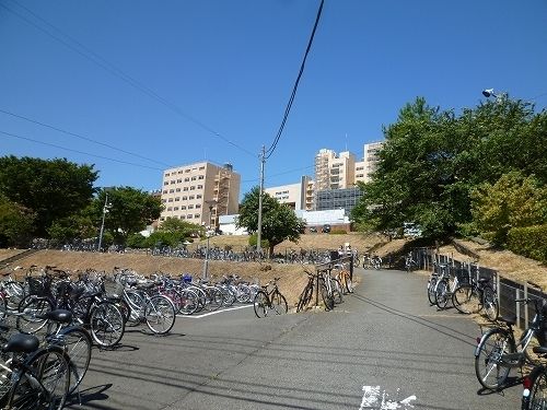 その他　帝京大学八王子キャンパス（その他）まで540m