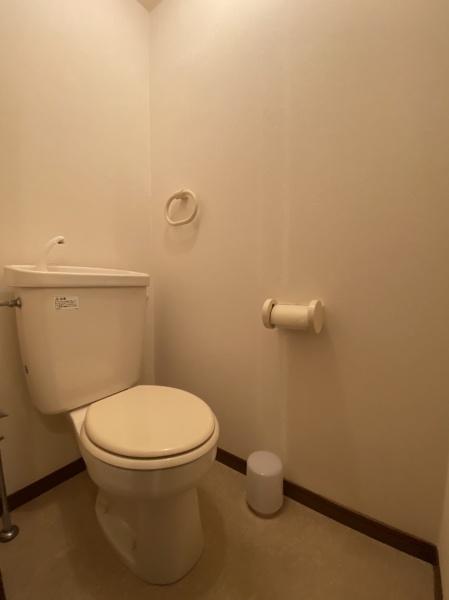 アムール山崎 1Fのトイレ写真