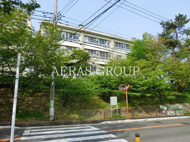 中学校　川崎市立白鳥中学校（中学校）まで728m