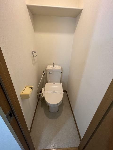 リーヴェルステージ武蔵小杉ディアスのトイレ写真