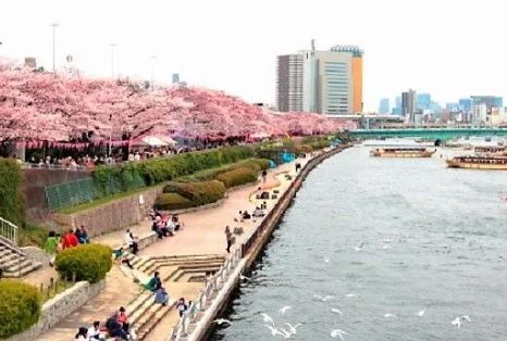 公園　屋形舟　隅田川下り（公園）まで130m