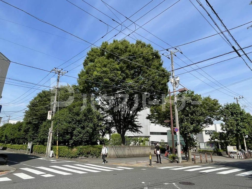 【文京区関口のマンションの病院】