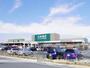 ホームセンター　カインズ小豆餅店（ホームセンター）まで989m
