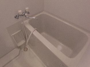 バス・シャワールーム　※写真は別号室です。