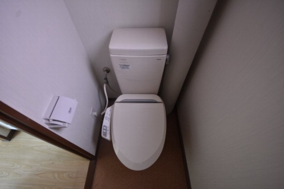 トイレ　※別号室の写真です