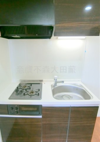 キッチン　2口ガスグリル付システムキッチン