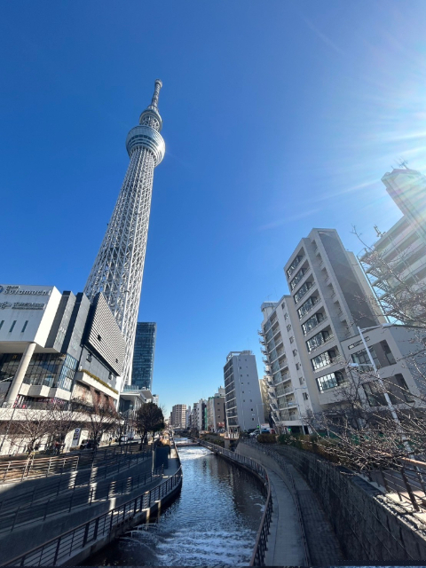 【墨田区業平のマンションの建物外観】