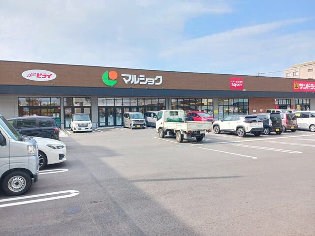 スーパー　マルショク石丸店（スーパー）まで260m