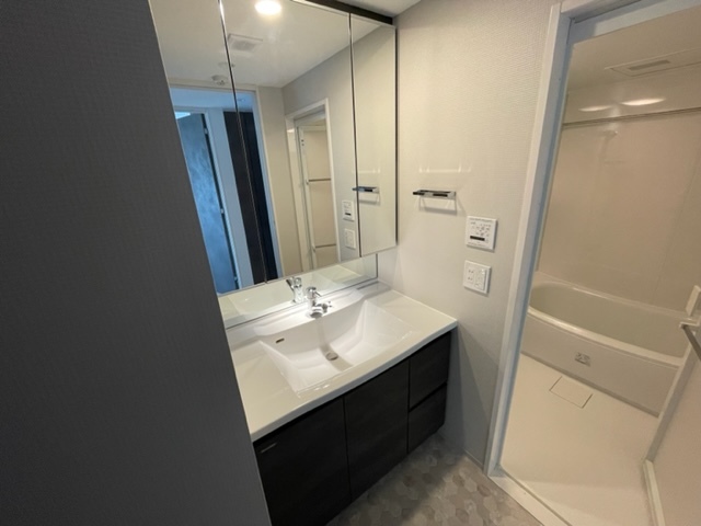 洗面設備　別タイプの参考画像