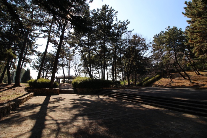 公園　桃山公園（公園）まで808m