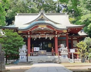 その他　氷川神社（その他）まで495m