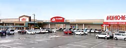 スーパー　albis野々市三納店（スーパー）まで703m