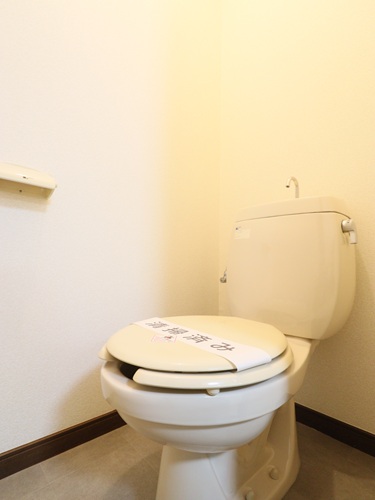 メゾンフラワーBのトイレ写真