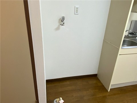 アクラムタウンシルクのその他写真
