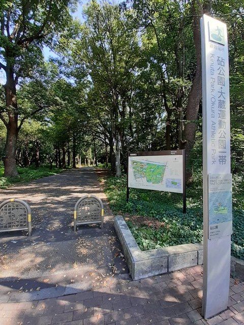 公園　砧公園（公園）まで400m