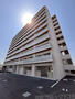 Mv.ms 8階 新築の賃貸物件